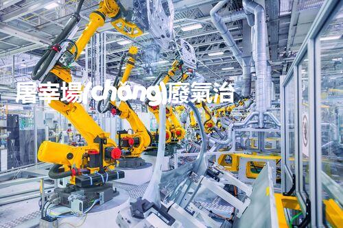 屠宰場(chǎng)廢氣治理：揭秘致命氣體，保護(hù)環(huán)境與生命！